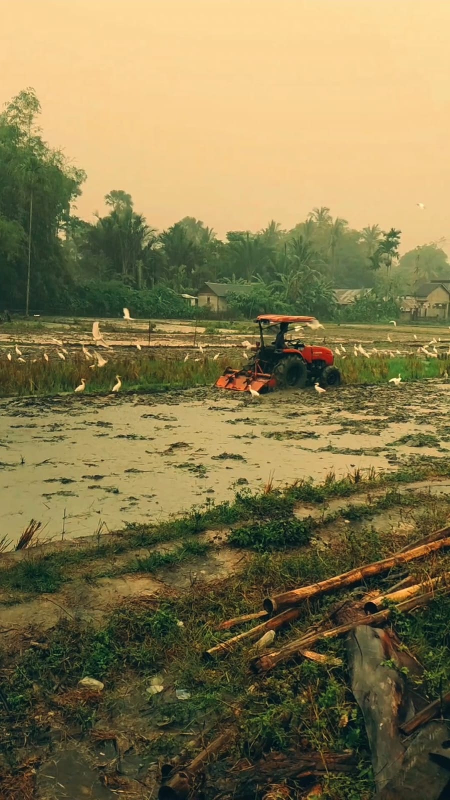 Desa Ribeun memiliki potensi di bidang pertanian melalui ketersediaan traktor yang dapat disewakan 